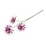 Countryfield Kunstbloem Lycoris paars - L 12 x B 8 x H 94 CM