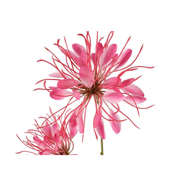 Countryfield Kunstbloem Lycoris donkerroze - L 12 x B 8 x H 94 CM