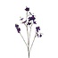 Countryfield Kunstbloem Cornus paars - 44 x 10 x 128 cm
