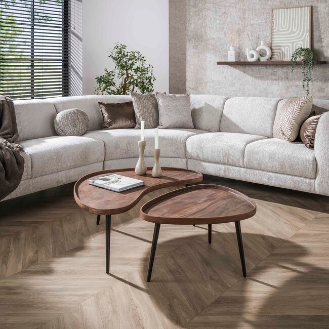 WoonStijl Salontafel Carve organisch set van 2