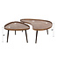 WoonStijl Salontafel Carve organisch set van 2