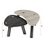 WoonStijl Salontafel Twin organisch set van 2 salontafels