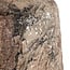 Richmond Interiors  Vaas Dena beige small