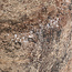 Richmond Interiors  Pilaar Mayah beige