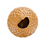 Balvi Vaas Acorn 20 cm – Keramiek – Bruin