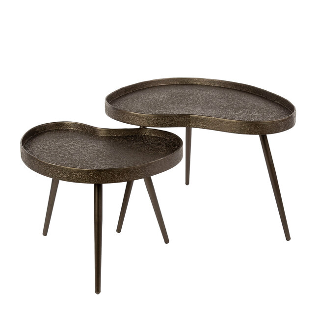 WoonStijl Salontafel Contour niervormig set van 2