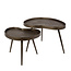 WoonStijl Salontafel Contour niervormig set van 2