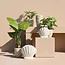 Countryfield Bloempot Ribbel Creme L