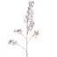 Countryfield Kunst bes Ilex Verticillata roze