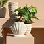Countryfield Bloempot Ribbel Creme S