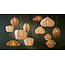 Light en Living Hanglamp Ø58,5x40 cm ZUBEDA crème