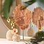 Light en Living Ornament op voet 37x31x61,5 cm CORAL koraal+antiek brons