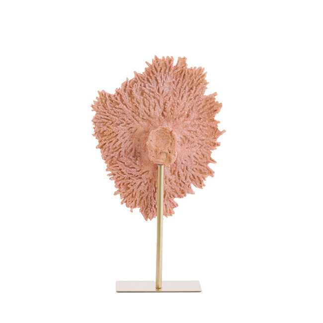 Light en Living Ornament op voet 37x31x61,5 cm CORAL koraal+antiek brons