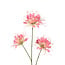 PTMD Kunsttak Pink Spider
