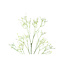 PTMD Kunsttak Bloem Wit baby spray