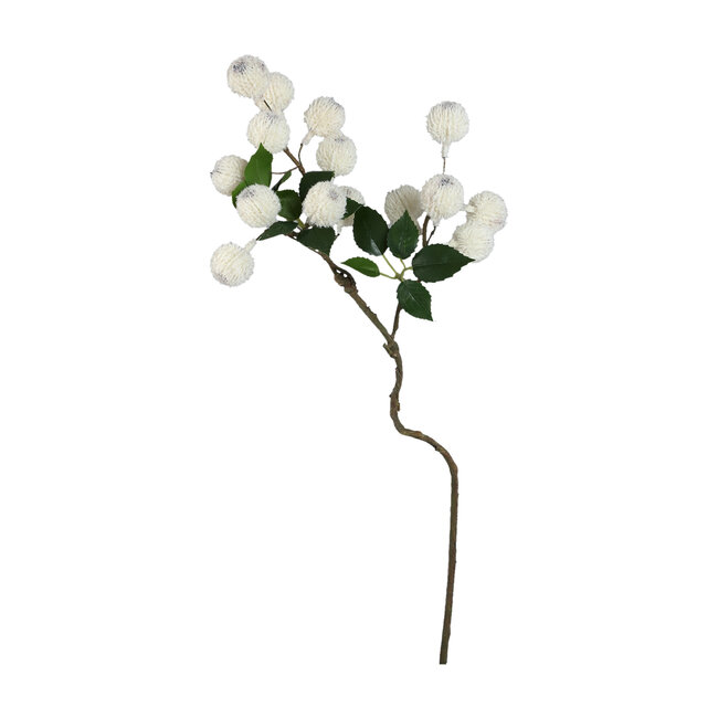 PTMD Kunsttak Twig Wit Xylia fruit