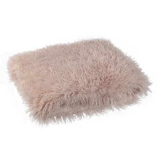 PTMD Plaid Rexx Beige S