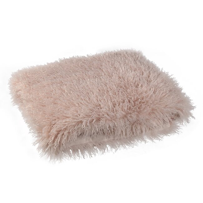 PTMD Plaid Rexx Beige S