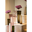 PTMD Vaas Marlisha roze glas groot rond