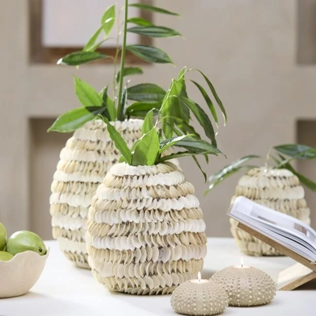 Light en Living Vaas deco  SARRIA Ø20x21 bamboo + schelp creme
