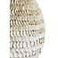 Light en Living Vaas deco  SARRIA Ø26 x 27 bamboo + schelp creme