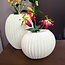Light en Living Vaas 29x18x24 cm MIRALLI creme