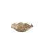 Light en Living Schaal 21,5x18,5x6,5 cm BANDA keramiek bruin