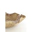Light en Living Schaal 34x31x11 cm BANDA keramiek bruin