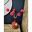 Countryfield Vaas Camina langnek S rood / roze