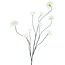 ISAA Kunsttak Snowball branch Salla Crème - 126cm