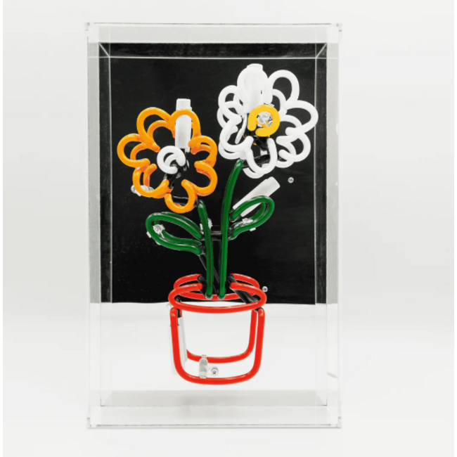 Locomocean Flowers In Pot Neon Box