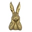 Countryfield Haas Zen M goud