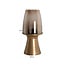 Richmond Interiors  Windlicht Danea brushed goud groot
