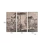 Richmond Interiors  Wall art Rhapsody brown (Set van 3)