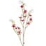 Countryfield Kunsttak Bloem Vaccaria iriserend S fuchsia