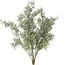 Countryfield Plant steker Pistacia L grijsgroen-15x15x53CM