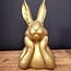 Countryfield Haas Zen M goud