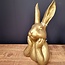 Countryfield Haas Zen M goud