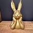 Countryfield Haas Zen M goud