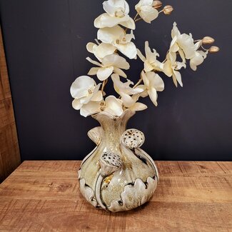 Countryfield Kunsttak Phalaenopsis crème
