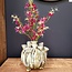 Countryfield Vaas bol Lotus L groen-28x28x30CM