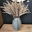 Countryfield Gras/Pluim Certaria bruin