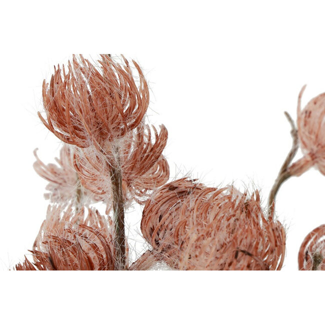 Countryfield Bloem in pot Clematis alpina L oud roze 16 x 16 x 66 cm