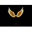 Countryfield Kerstverlichting LED Ornament Wings goud 149 x 38 x 165 cm