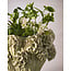Light en Living Vaas deco Ø38x32 cm LUSERNA keramiek mint groen