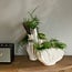 Riviera Maison Vaas Atelier Tall Botanica