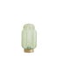 Light en Living Tafellamp LED Thisio groen S