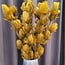 Light en Living Ornament 6 bloemen 90 cm TULIP  okergeel
