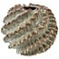 Countryfield Vaas Rufa L groen - 35,5 x 35,5 x 30 cm