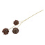 Countryfield Kunstbloem Taraxacum 3x bruin - 8 x 20 x 80 cm